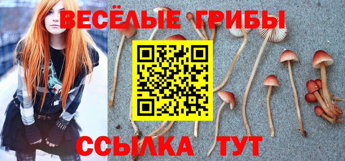 дарнет шоп  Галлюциногенные грибы Psilocybine cubensis  Иваново  Вход с VPN  Псилоцибиновые грибы прущие грибы 