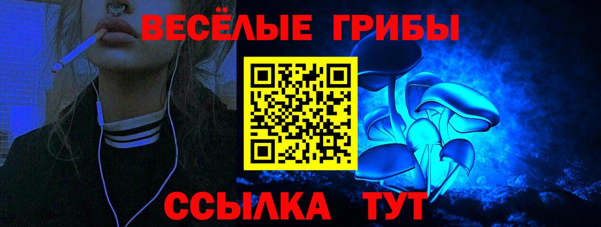 Псилоцибиновые грибы GOLDEN TEACHER Иваново